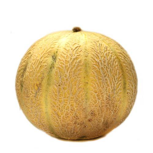 Auchan Melon charentais 1kg